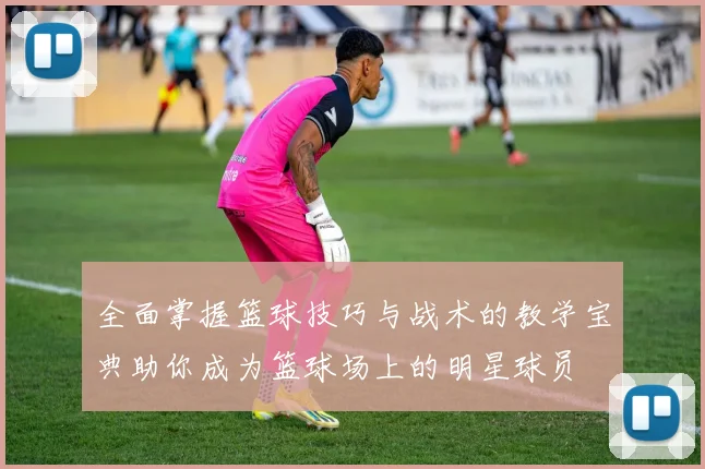 全面掌握篮球技巧与战术的教学宝典助你成为篮球场上的明星球员