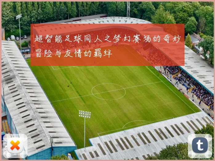 超智能足球同人之梦幻赛场的奇妙冒险与友情的羁绊