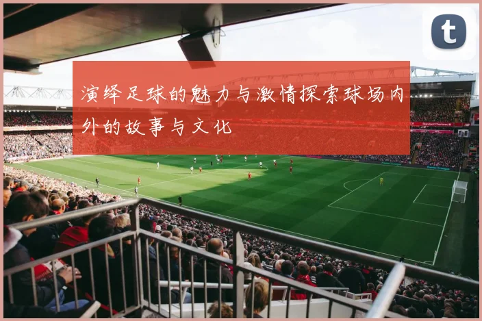 演绎足球的魅力与激情探索球场内外的故事与文化