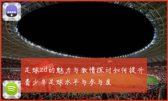 足球zd的魅力与激情探讨如何提升青少年足球水平与参与度
