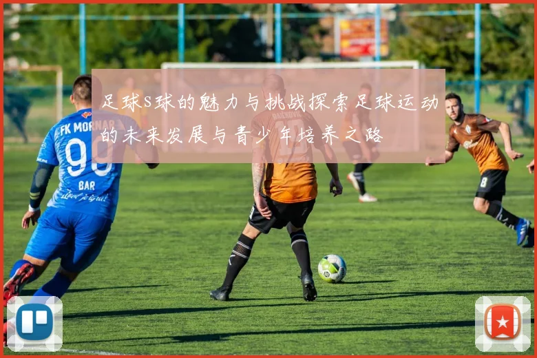 足球s球的魅力与挑战探索足球运动的未来发展与青少年培养之路
