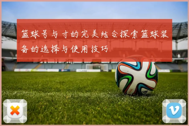 篮球号与寸的完美结合探索篮球装备的选择与使用技巧