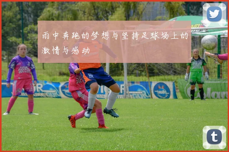 雨中奔跑的梦想与坚持足球场上的激情与感动